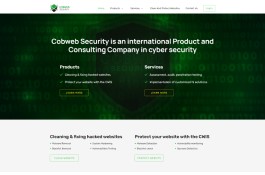 Web development for Information Security Company